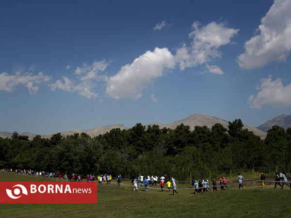 مسابقه دوی صحرانوردی