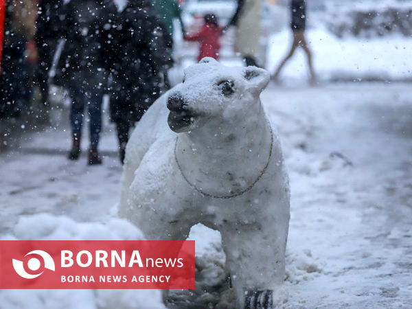 بارش شدید برف در اراک