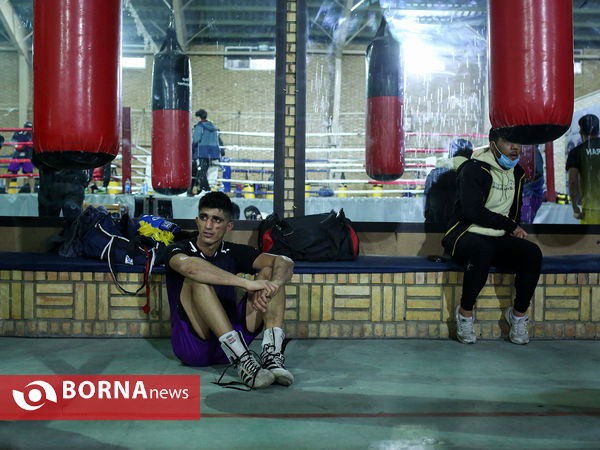 تمرین تیم ملی بوکس