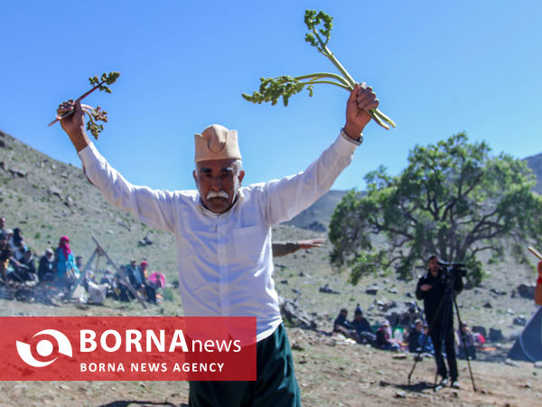 جشنواره ریواس در روستای تاریخی راوه