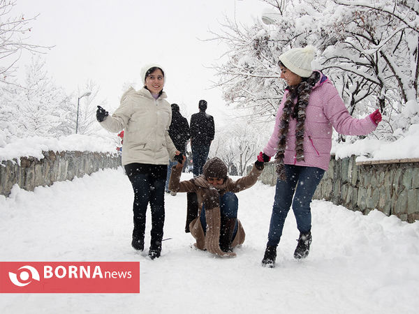 بارش برف در تهران