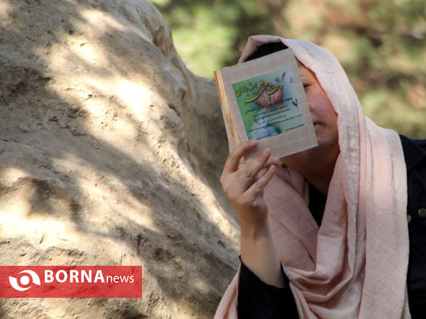 دعای عرفه در تپه الشهدای شیراز