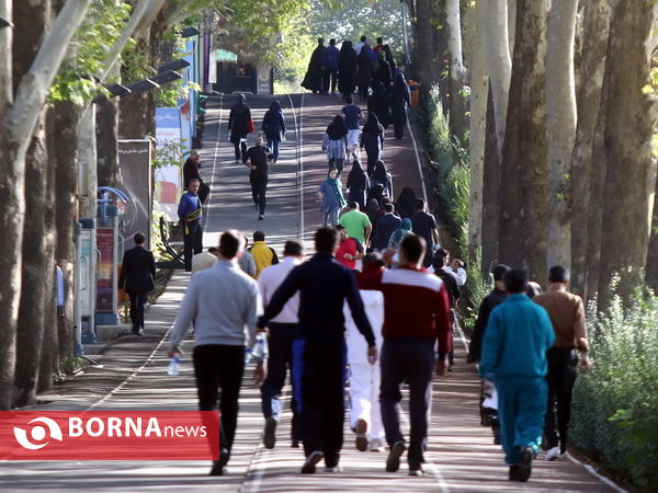 ورزش همگانی کارکنان و مدیران وزارت ورزش و جوانان