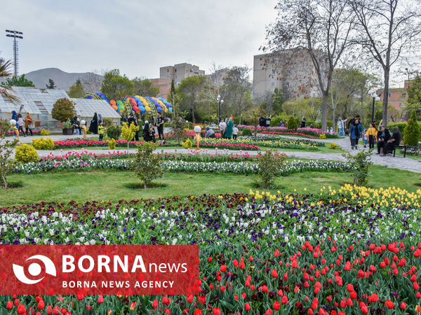 جشنواره گل‌های لاله در اراک