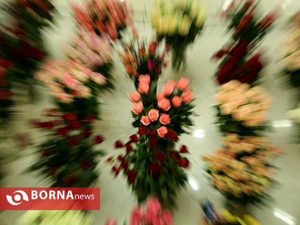 هفدهمین نمایشگاه بین المللی گل و گیاه