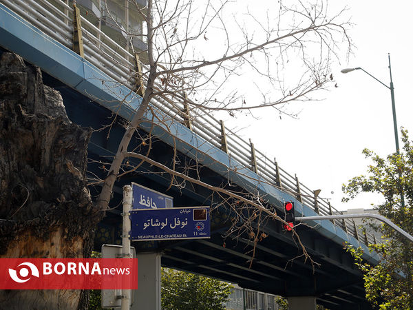گشتی در خیابان حافظ به مناسبت روز بزرگداشت حافظ
