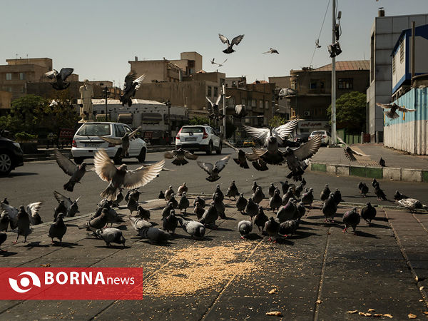 مراسم عزاداری روز عاشورای حسینی "ع" در تهران