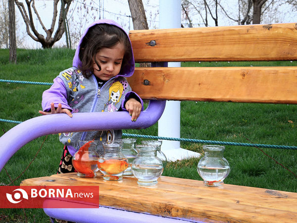 اهدای هشت هزار قطعه ماهی قرمز به مردم در بوستان کوهسنگی