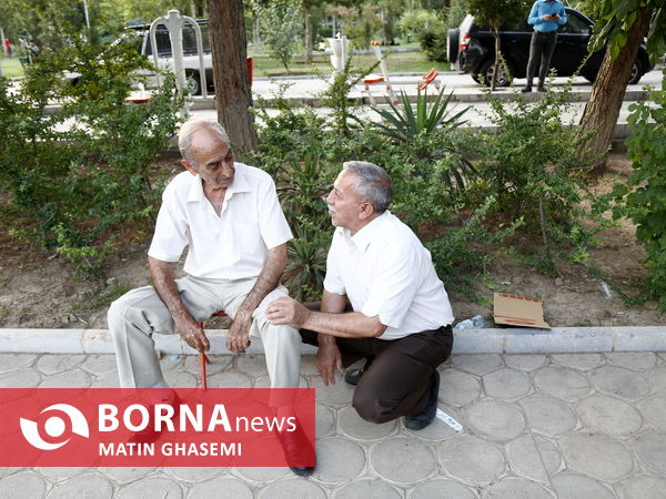 دور همی سالمندان تهران با عنوان "یاد ایام"