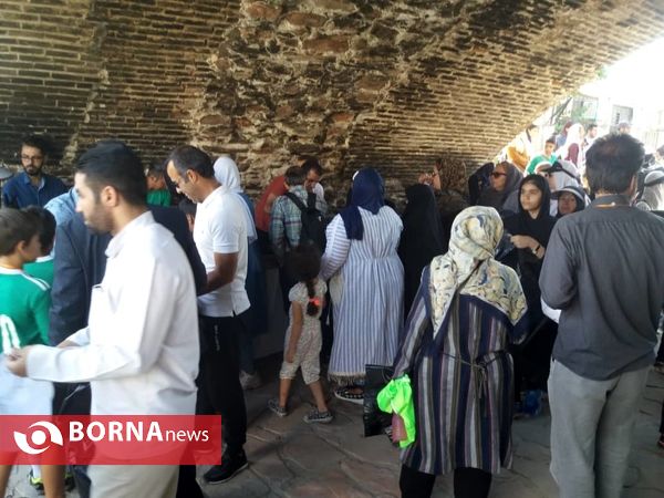 پاکداشت طبیعت حاشیه رودخانه جاجرود