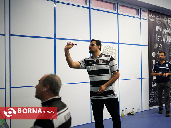 اولین دوره لیگ برتر دارت