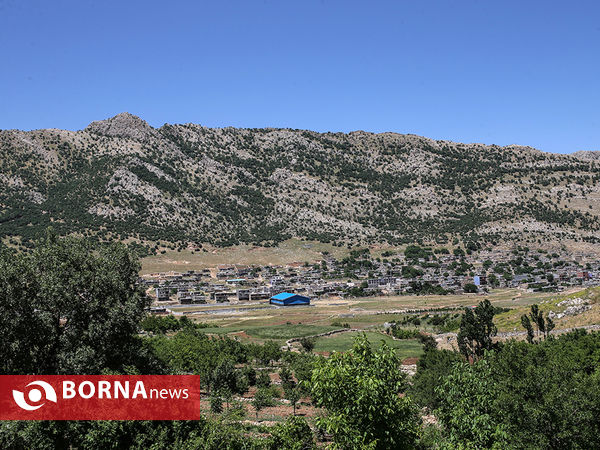 ((‌ریبوار)) عکاس روستای دزلی