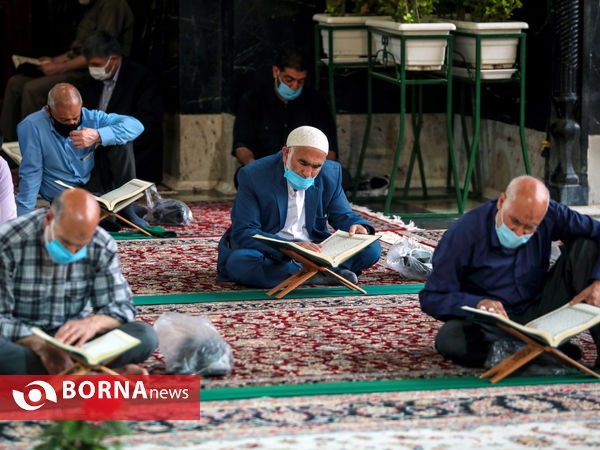 ترتیل خوانی قرآن کریم در حرم مطهر رضوی