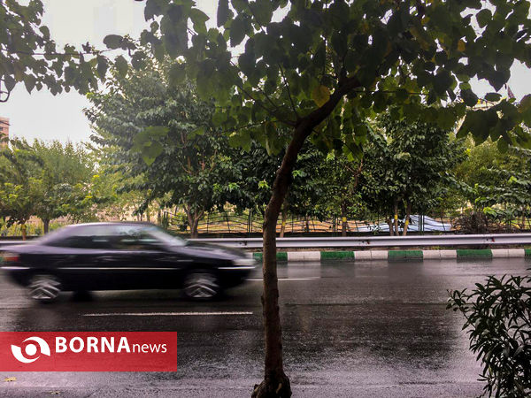 اولین باران پاییزی - خیابان سئول ( عکس : سید علی صالح )