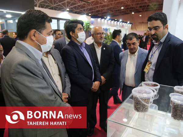 افتتاح پنجمین نمایشگاه بین المللی خرما، تولید، فرآوری و صنایع وابسته در شیراز