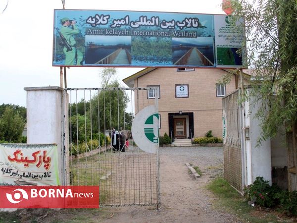 تالاب بین المللی امیر کلایه _ لاهیجان