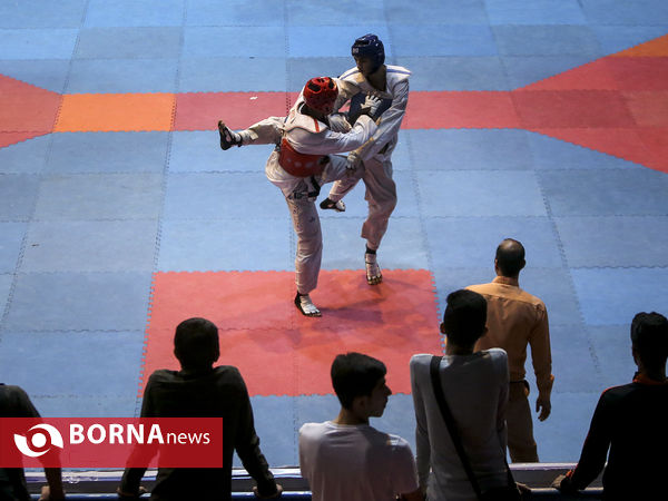 لیگ برتر تکواندو