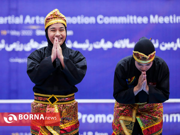 اختتامیه چهارمین نشست سالانه هیات رئیسه کمیته هنرهای رزمی یونسکو در شیراز