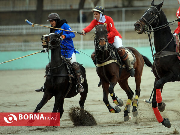 مسابقات چوگان بانوان جام وحدت