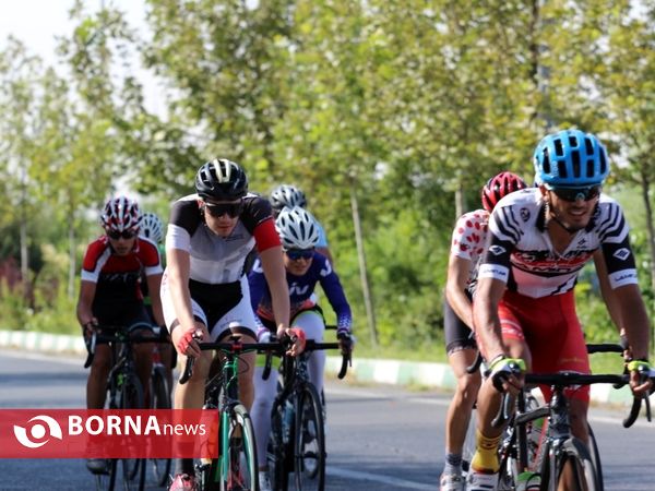 یک روز با دچرخه سواران تهران