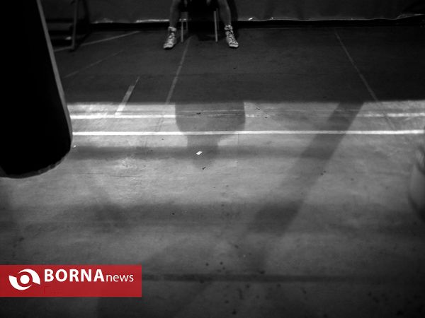 امیر علی اکبری قهرمان رشته MMA