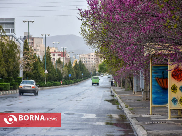 باران بهاری ۱۴۰۰