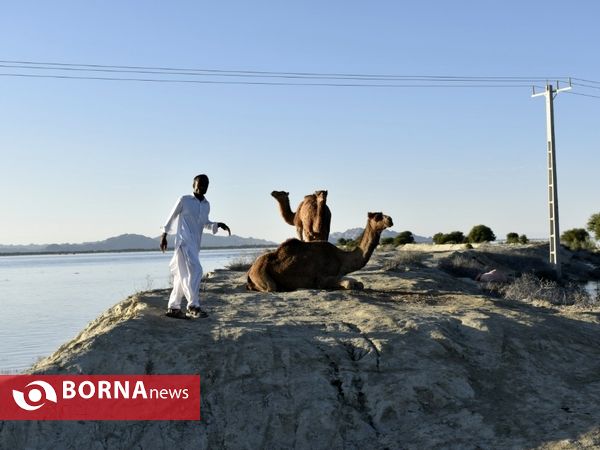 سیل در منطقه دشتیاری سیستان و بلوچستان