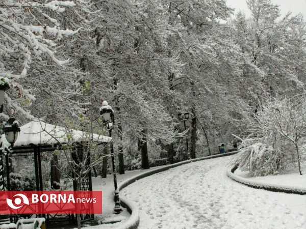 بارش نخستین برف پاییزی در تهران