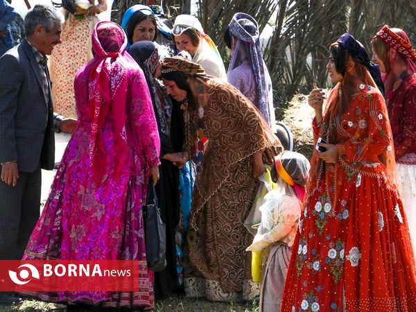 جشن ازدواج در عشایر ایل بزرگ قشقایی