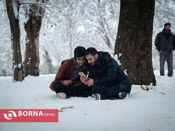 بارش برف در تهران-۴