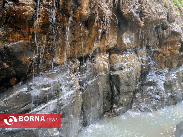 در مسیر ارنگه جاده چالوس با خبرنگاران غرب تهران