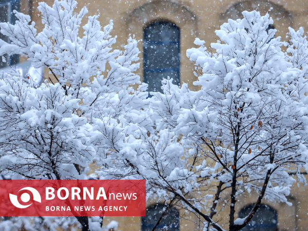 بارش شدید برف در اراک