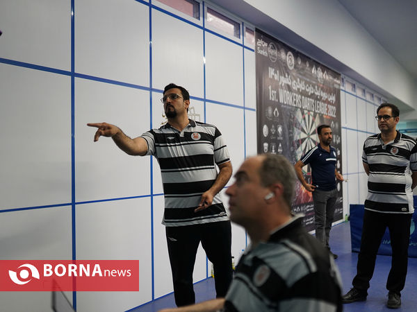 اولین دوره لیگ برتر دارت