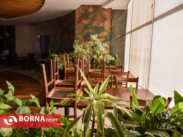 کرونا و تعطیلی پی در پی رستوران ها