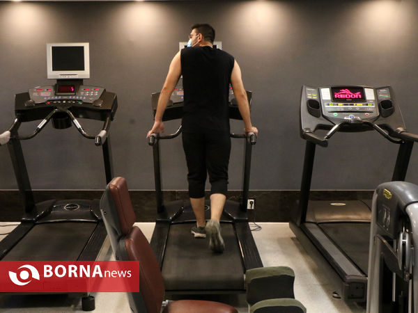 بازرسی ویژه از باشگاههای ورزشی شیراز