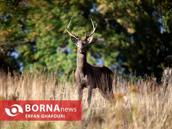 طبیعت زیبای شهرستان ساری