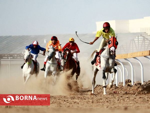 هفته سوم کورس اسبدوانی اسب اصیل عرب "جام بُراق اروند"