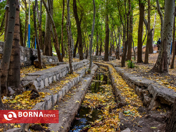 پاییز سراب عباس آباد شازند