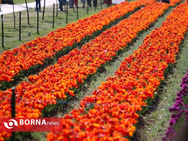 باغ لاله یادبود ایندریا گاندی