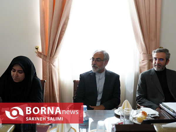 دیدار اعضای کمیسیون امنیت ملی با وزیر خارجه 