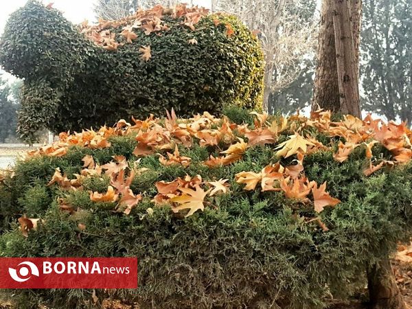 آخرین لحظات پاییزی