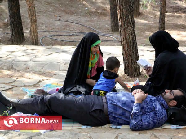 دعای عرفه در تپه الشهدای شیراز