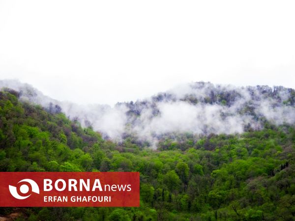 طبیعت زیبای شهرستان ساری