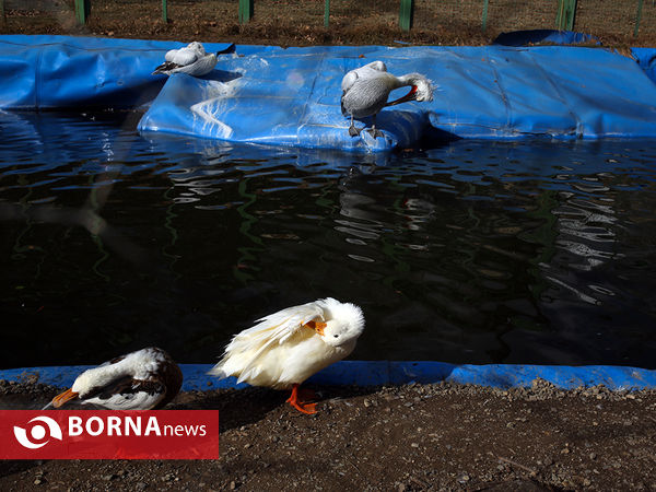 هوای پاک امروز تهران