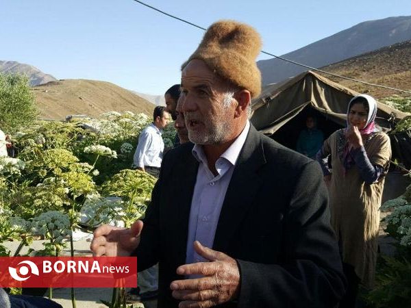 بازدید استاندار تهران از مناطق عشایری دشت لار