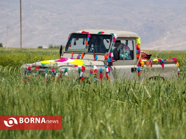 جشن ازدواج در عشایر ایل بزرگ قشقایی