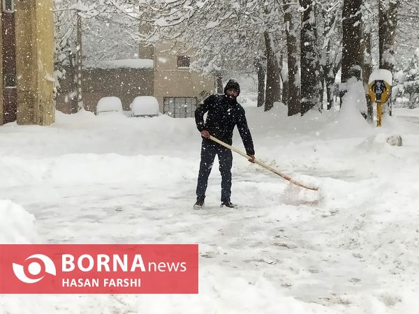 همدان به تنظیمات کارخانه برگشت