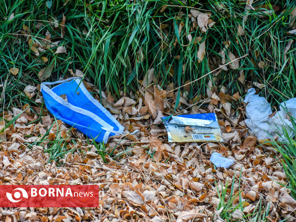 پاییز کرونایی