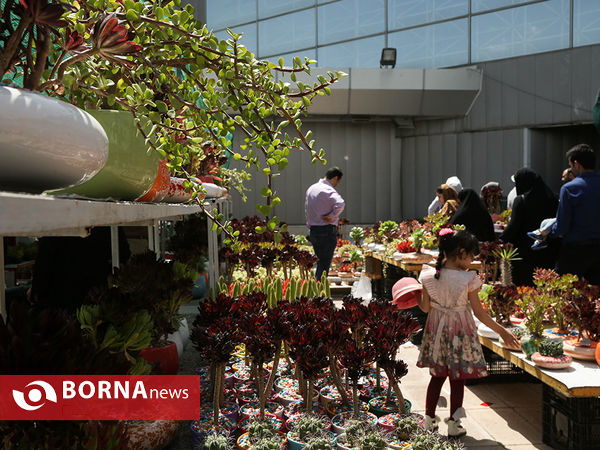 هفدهمین نمایشگاه بین المللی گل و گیاه