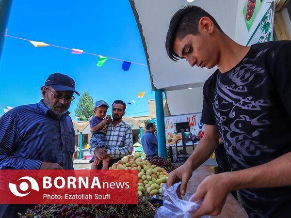 جشنواره آلبالو و گیلاس در دهستان اناج